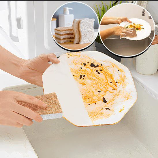 Eponge vegetales | CocoSponge™ - Plaisir de Nettoyer