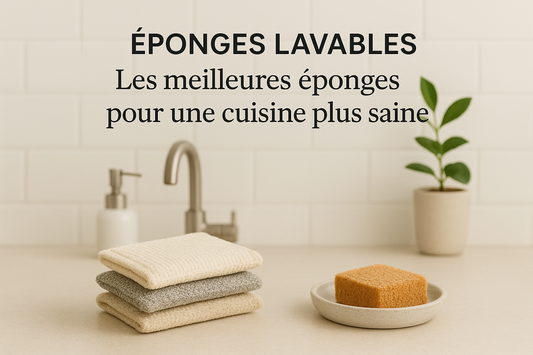 Éponges lavables hygiéniques : Les meilleures éponges pour une cuisine plus saine