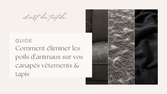 Brosse anti-poil pour enlever les poils d'animaux sur canapé, vêtements et tapis