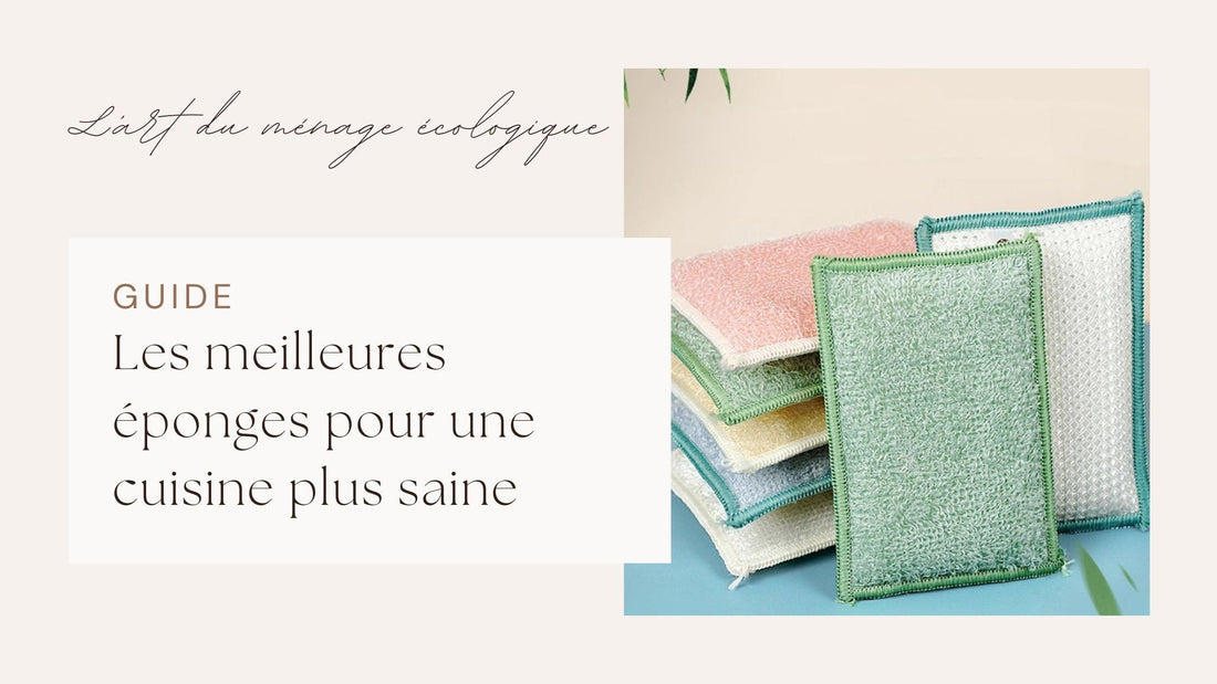 Éponge lavable hygiénique pour une cuisine saine — Plaisir de Nettoyer