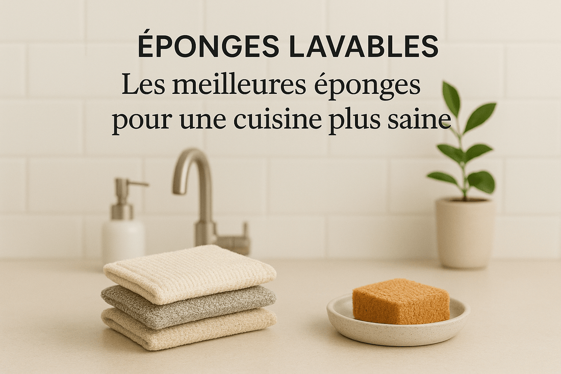 Éponges lavables hygiéniques : Les meilleures éponges pour une cuisine plus saine - Plaisir de Nettoyer