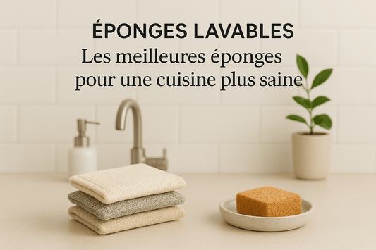 Éponges lavables hygiéniques : Les meilleures éponges pour une cuisine plus saine - Plaisir de Nettoyer