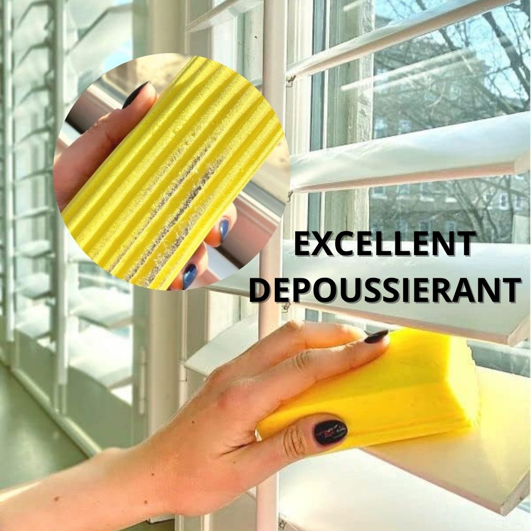 Eponge | TotalClean™ - Plaisir de Nettoyer