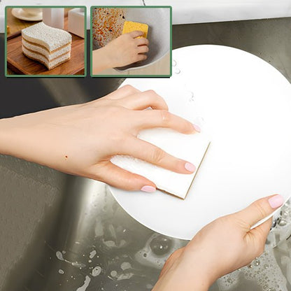 Eponge vegetales | CocoSponge™ - Plaisir de Nettoyer
