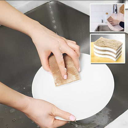 Eponge vegetales | CocoSponge™ - Plaisir de Nettoyer